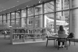 Educación (http://www.freestockphotos.biz)