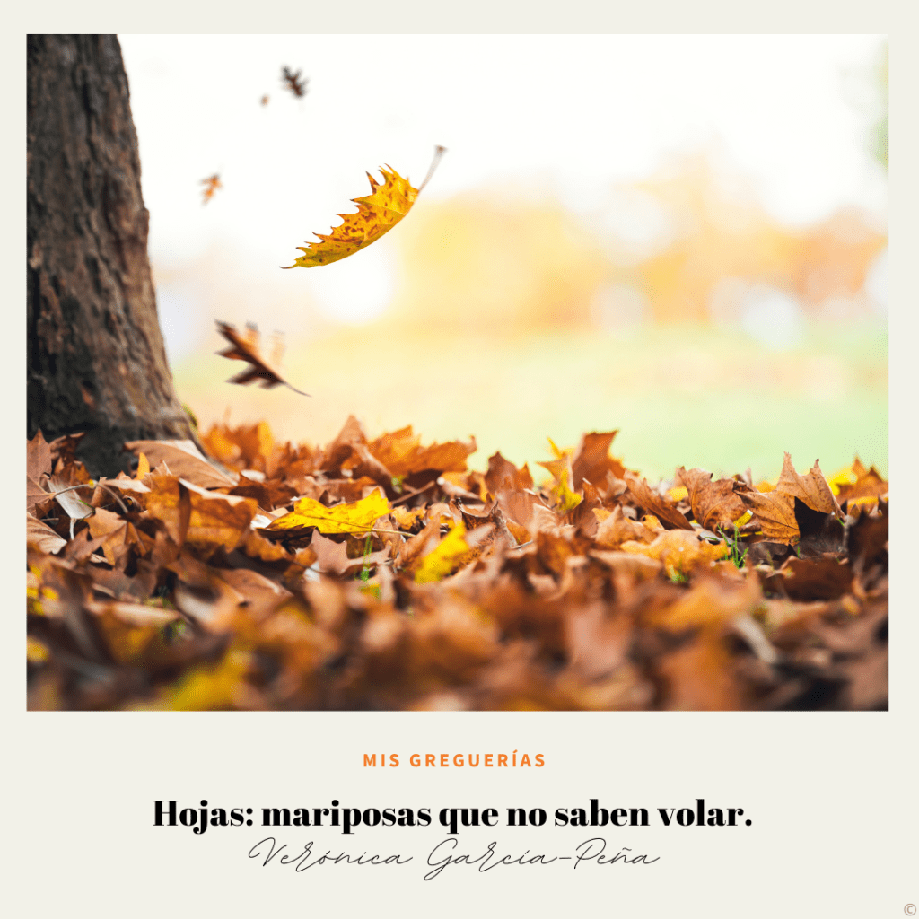 Nueva greguería sobre el otoño y sus hojas.
A veces, la naturaleza nos regala metáforas inesperadas. 